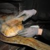 Vorweihnachtliche Brotback-Aktion am 09. und 10.12.
